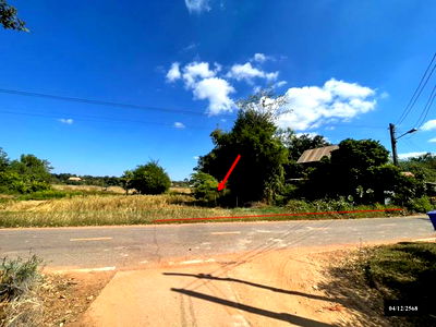 Land for sale Sakon Nakhon : LAND for sale  Song Dao Song Dao Sakon Nakhon