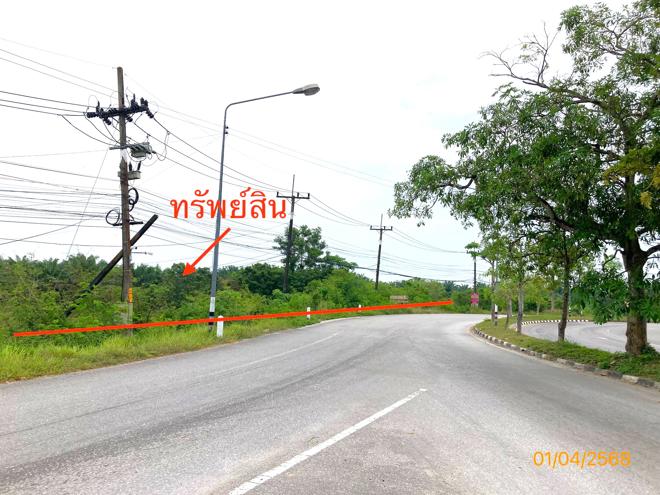 picture LAND for sale Pa We Chaiya Surat Thani - 2/24