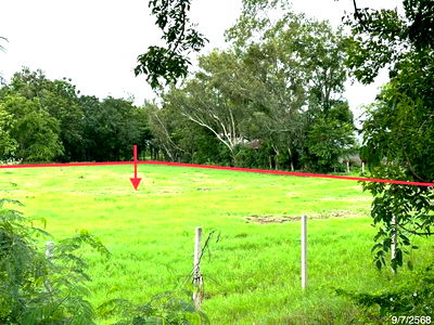 ที่ดิน ชัยบาดาล ลพบุรี : ที่ดินว่างเปล่า สำหรับขาย - หนองรี ลำสนธิ ลพบุรี
