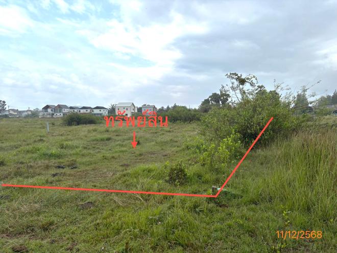 รูป ที่ดินว่างเปล่า สำหรับขาย - ทุ่งกง กาญจนดิษฐ์ สุราษฎร์ธานี - รูปที่ 6/20
