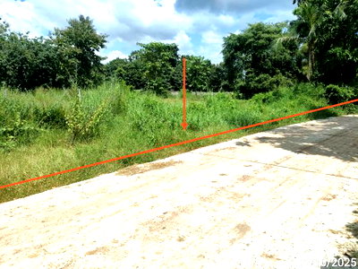 ที่ดินว่างเปล่า 1602 ตร.วา โกสุมพิสัย มหาสารคาม 2.4M