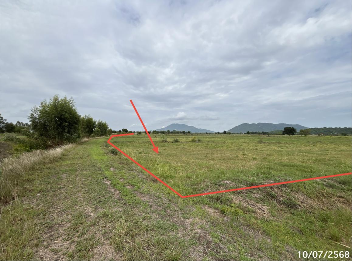 รูป ที่ดินว่างเปล่า สำหรับขาย - ห้วยโป่ง โคกสำโรง ลพบุรี - รูปที่ 14/24