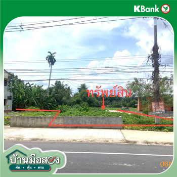 รูป ที่ดินว่างเปล่า สำหรับขาย - กรูด กาญจนดิษฐ์ สุราษฎร์ธานี - รูปที่ 16/18