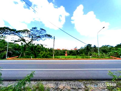 ที่ดิน พัทลุง : ที่ดินว่างเปล่า สำหรับขาย - หานโพธิ์ เขาชัยสน พัทลุง