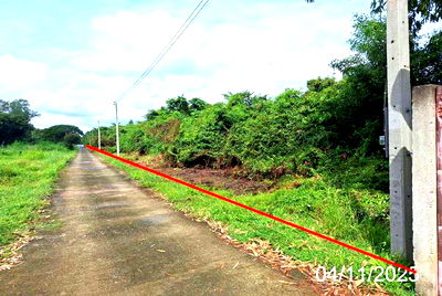 Land for sale Lamphang : LAND for sale  Pong Sang Thong Muang Lampang Lamphang