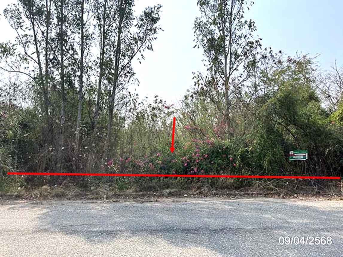 รูป ที่ดินว่างเปล่า สำหรับขาย โครงการบางปะกงริเวอร์ไซค์ แสนภูดาษ บ้านโพธิ์ ฉะเชิงเทรา - รูปที่ 11/24