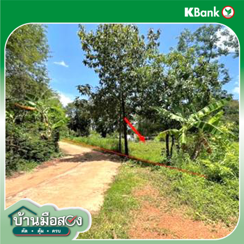 รูป ที่ดินว่างเปล่า สำหรับขาย - สว่าง พรรณานิคม สกลนคร - รูปที่ 16/18