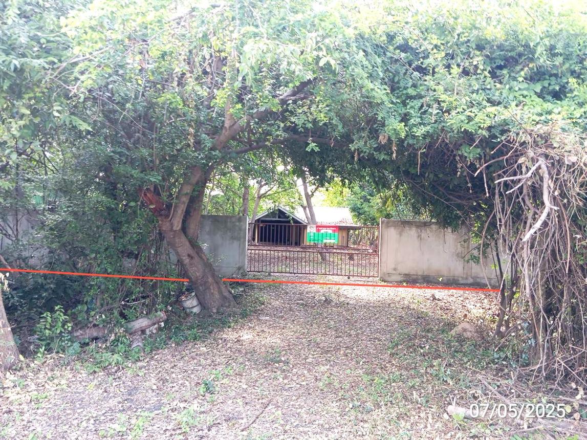 รูป บ้านเดี่ยว สำหรับขาย - ท่าสว่าง เมืองสุรินทร์ สุรินทร์ - รูปที่ 19/24