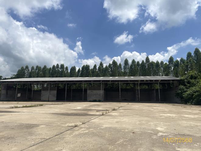 picture FACTORY for sale  Dong Khui Chon Daen Phetchabun - 14/44