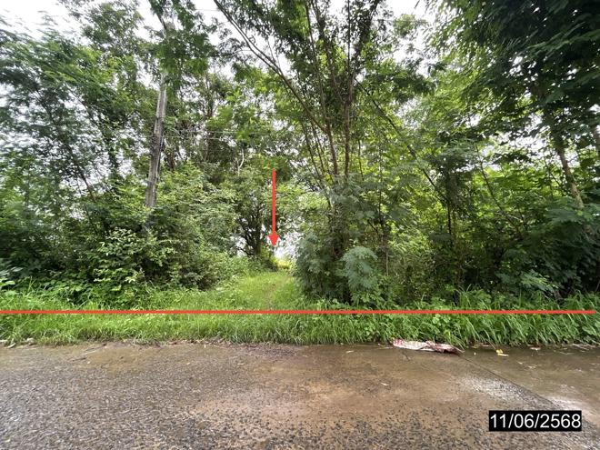 picture LAND for sale  Muang Si Kai Warin Chamrap Ubon Ratchathani - 1/24