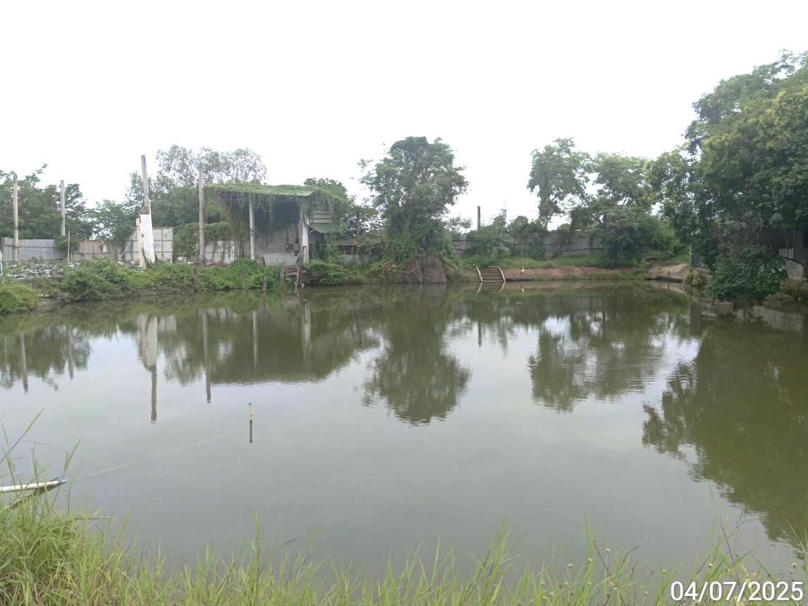 picture FACTORY for sale  Huai Ket Taphan Hin Phichit - 30/34