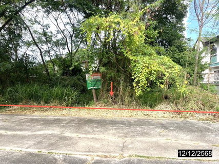 LAND 100 Sq.w. Muang Khon Kaen Khon Kaen for 1.3M
