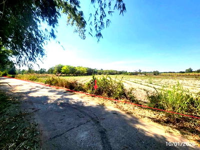 Land for sale Kalasin : LAND for sale  Yot Kaeng Na Mon Kalasin