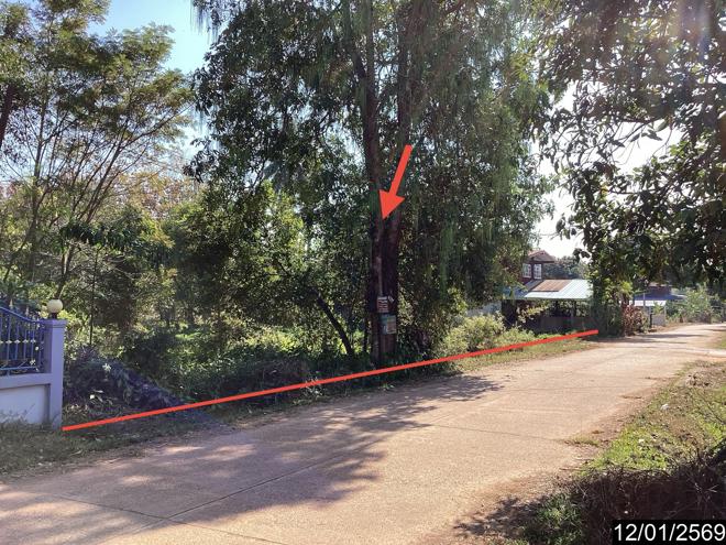 picture LAND for sale Sri Wilai null Nongkai - 2/24