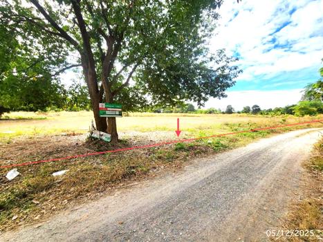 รูป ที่ดินว่างเปล่า สำหรับขาย - กู่ทอง เชียงยืน มหาสารคาม - รูปที่ 21/24