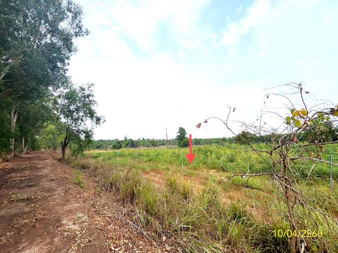 picture LAND for sale  Dom Pradit Nam Yun Ubon Ratchathani - 5/16