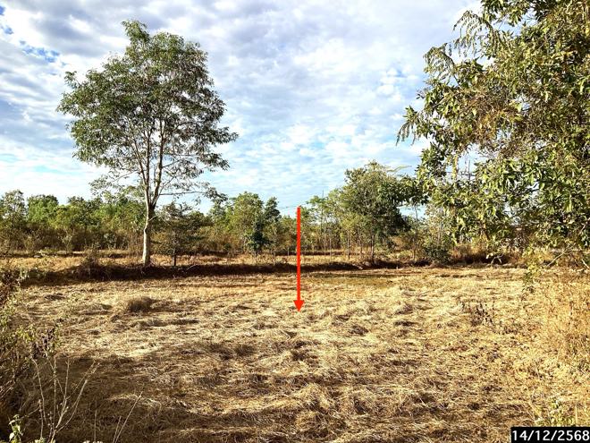 รูป ที่ดินว่างเปล่า สำหรับขาย - บะหว้า อากาศอำนวย สกลนคร - รูปที่ 4/24