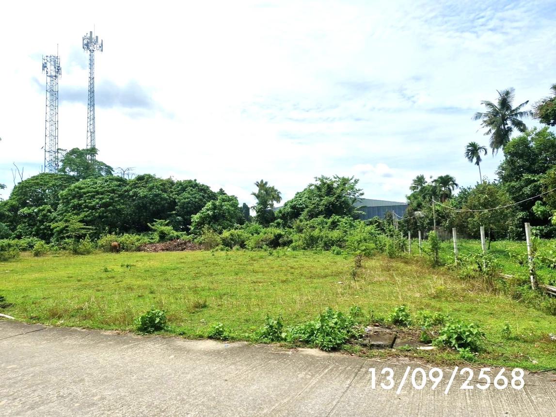 รูป ที่ดินว่างเปล่า สำหรับขาย - ชะมาย ทุ่งสง นครศรีธรรมราช - รูปที่ 9/14