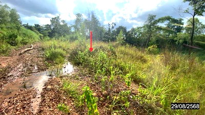 LAND 25603 Sq.w. Muang Nong Bua Lam Phu Nong Bua Lam Phu for 32.4M