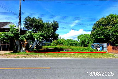 Land for sale Wieng Nong long Lamphun : LAND for sale  Wang Phang Wieng Nong long Lamphun