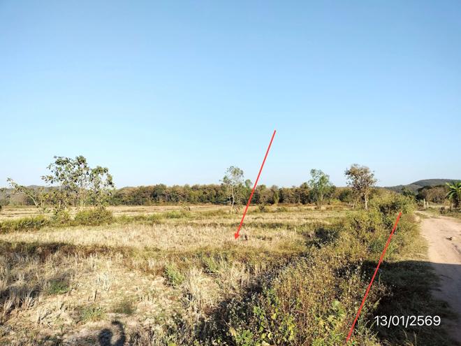 รูป ที่ดินว่างเปล่า สำหรับขาย - ดงเจน ภูกามยาว พะเยา - รูปที่ 4/24