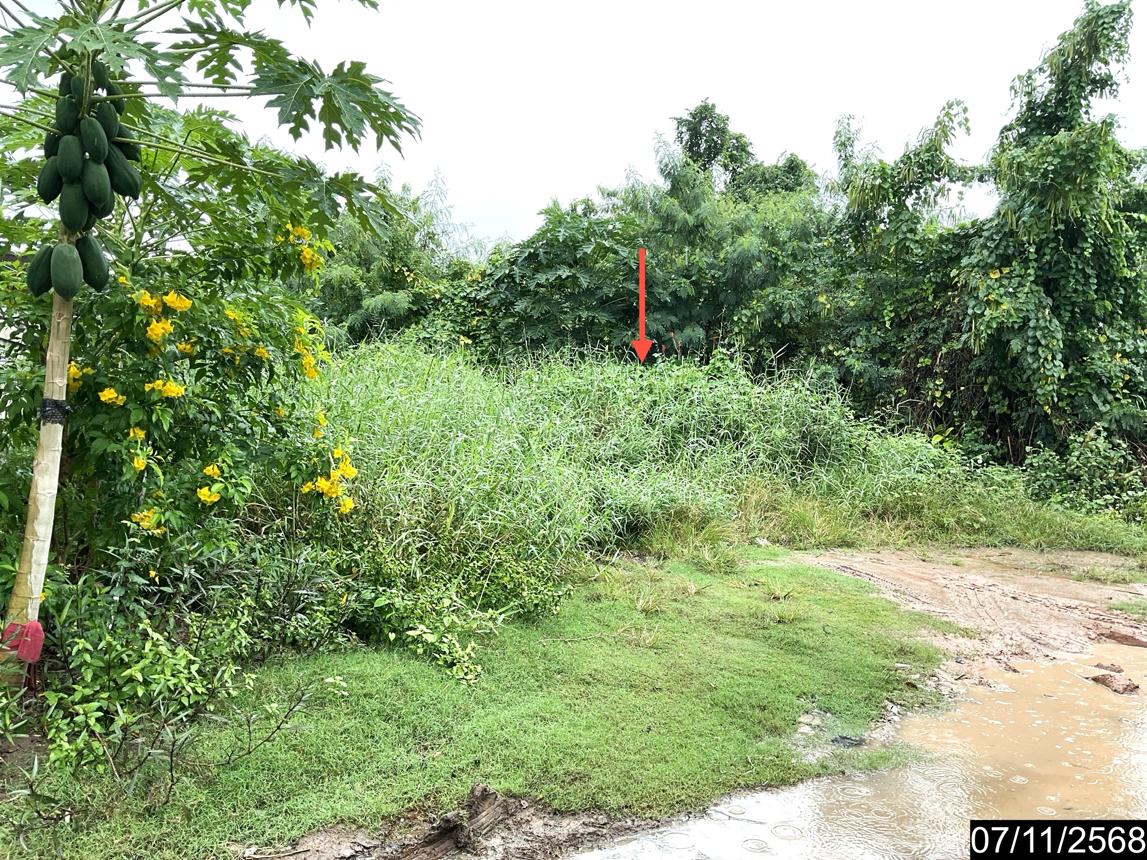 รูป ที่ดินว่างเปล่า สำหรับขาย - หมื่นไวย เมืองนครราชสีมา นครราชสีมา - รูปที่ 16/24