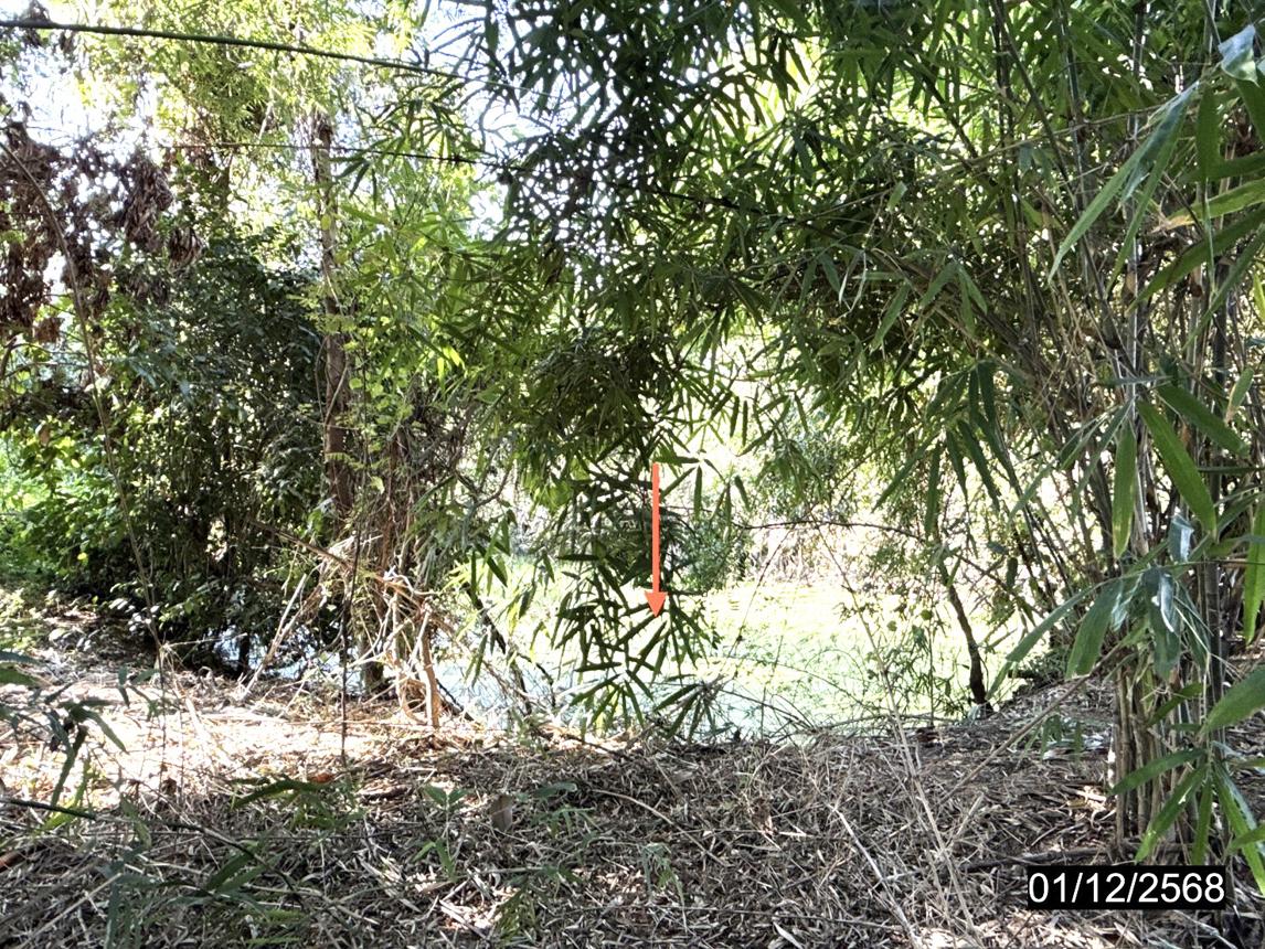 รูป บ้านเดี่ยว สำหรับขาย - หลักเมือง กมลาไสย กาฬสินธุ์ - รูปที่ 20/24