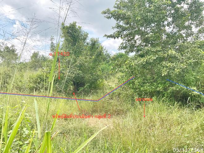 รูป ที่ดินว่างเปล่า สำหรับขาย - วังก์พง ปราณบุรี ประจวบคีรีขันธ์ - รูปที่ 8/24