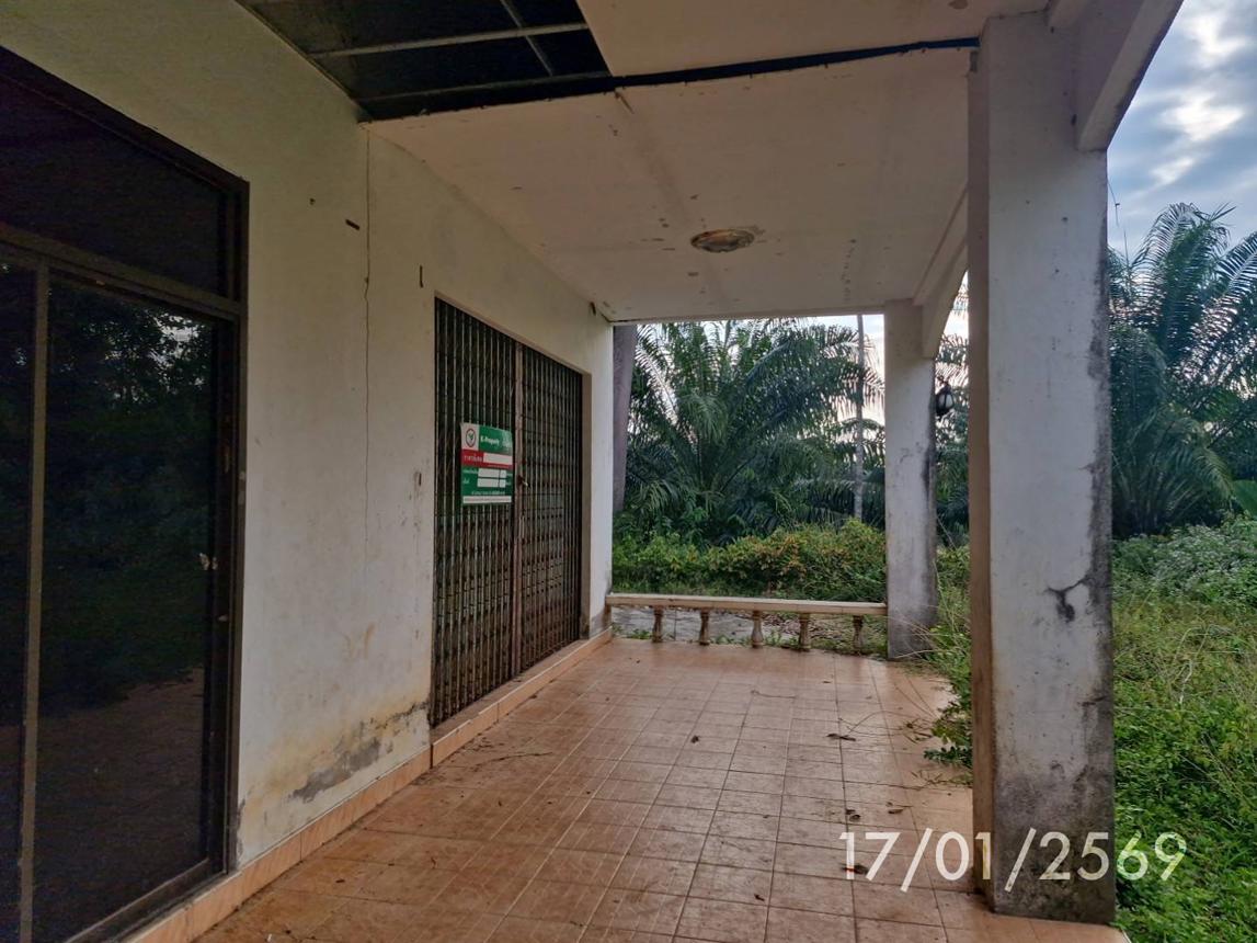 รูป บ้านเดี่ยว สำหรับขาย - บ้านนา ปะเหลียน ตรัง - รูปที่ 11/20