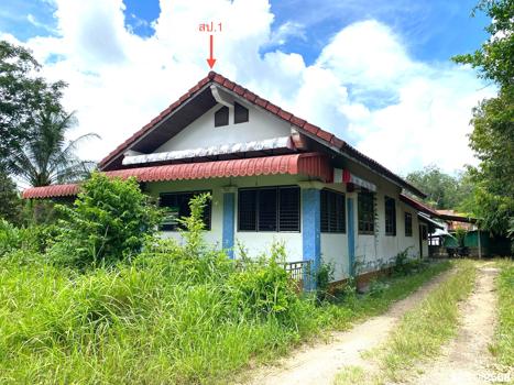 รูป บ้านเดี่ยว สำหรับขาย - ท่าม่วง เทพา สงขลา - รูปที่ 41/44