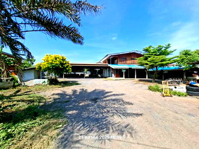 Houses for sale Lopburi : HOME for sale  Khok Salung Phatthana Nikhom Lopburi