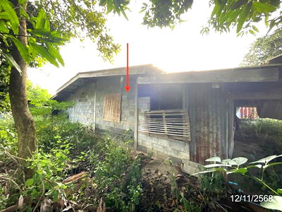 Houses for sale Chainat : HOME for sale  Kaboktia Noen Kham Chainat