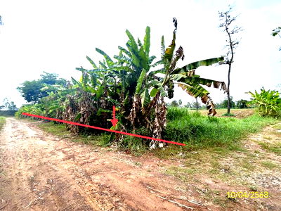 Land for sale Ubon Ratchathani : LAND for sale  Dom Pradit Nam Yun Ubon Ratchathani