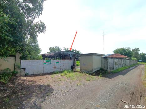 รูป อาคารโรงงาน สำหรับขาย - วังงิ้ว ดงเจริญ พิจิตร - รูปที่ 49/52
