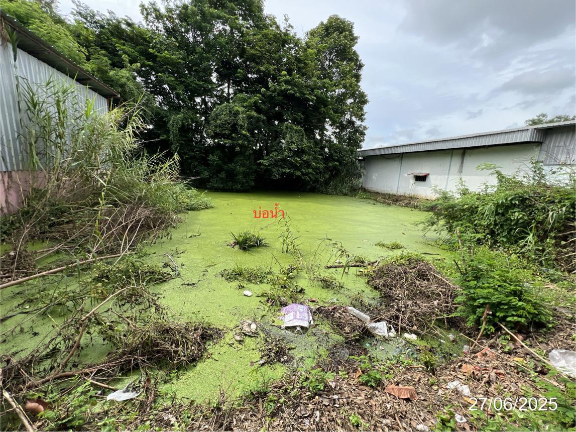 รูป โกดัง สำหรับขาย - แสนตอ ขาณุวรลักษบุรี กำแพงเพชร - รูปที่ 40/44