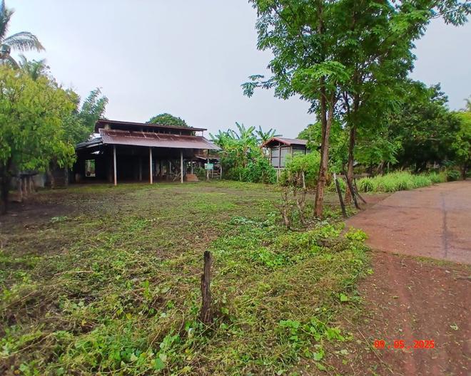 รูป บ้านเดี่ยว สำหรับขาย - หนองเทาใหญ่ ปลาปาก นครพนม - รูปที่ 13/30