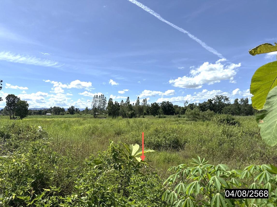 รูป ที่ดินว่างเปล่า สำหรับขาย - โนนสะอาด ชุมแพ ขอนแก่น - รูปที่ 16/24