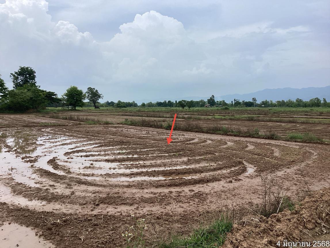 รูป ที่ดินว่างเปล่า สำหรับขาย - คือเวียง ดอกคำใต้ พะเยา - รูปที่ 14/24