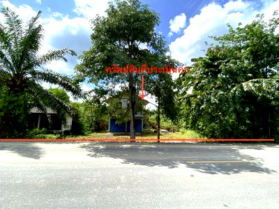 Houses for sale Nakhon Sri Thammarat : HOME for sale  Chawang Chawang Nakhon Sri Thammarat