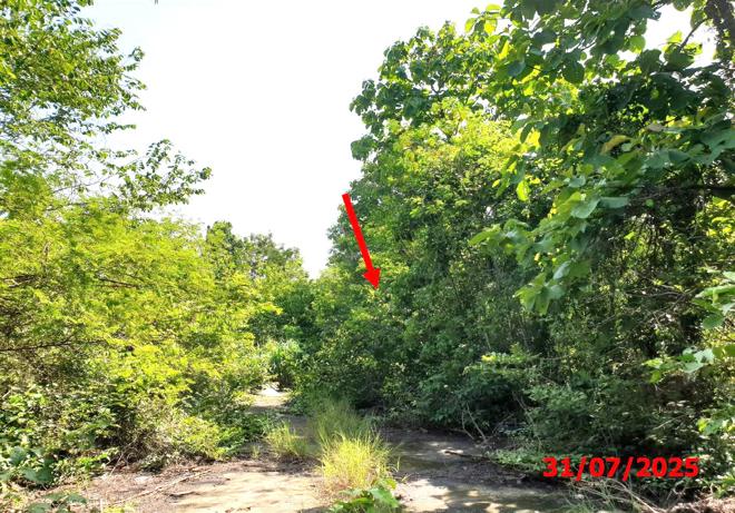 รูป ที่ดินว่างเปล่า สำหรับขาย บ้านสวนเชิงดอยรีสอร์ท มะเขือแจ้ เมืองลำพูน ลำพูน - รูปที่ 3/14