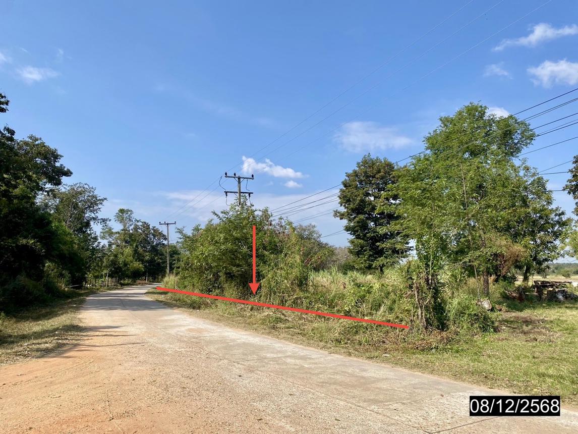 picture LAND for sale  Phon Phek Mancha Khiri Khon Kaen - 12/20