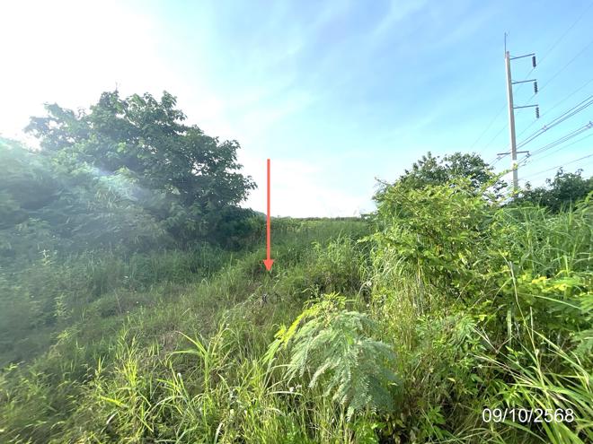 รูป ที่ดินว่างเปล่า สำหรับขาย - สระประดู่ วิเชียรบุรี เพชรบูรณ์ - รูปที่ 5/24