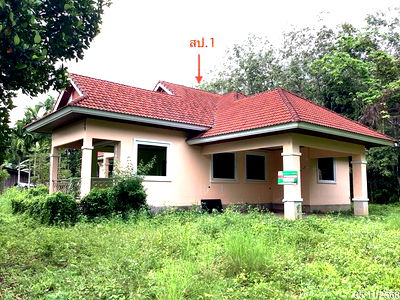 Houses for sale Sadao Songkhla : HOME for sale  Thung Mo Sadao Songkhla