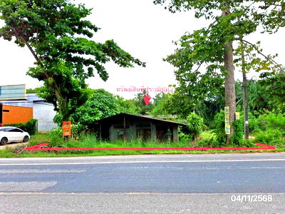 Houses for sale Trang : HOME for sale  Khao Mai Kaeo Sikao Trang