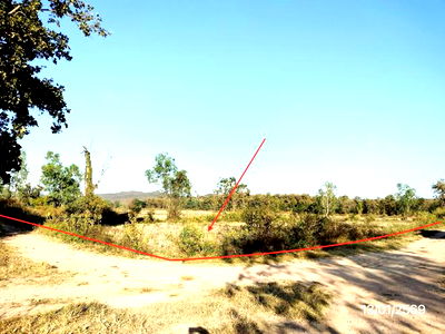 Land for sale Phu Kam Yao Phayao : LAND for sale  Dong Chen Phu Kam Yao Phayao