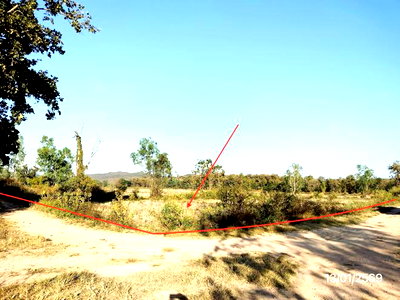 LAND 2907 Sq.w. Phu Kam Yao Phayao for 1.5M