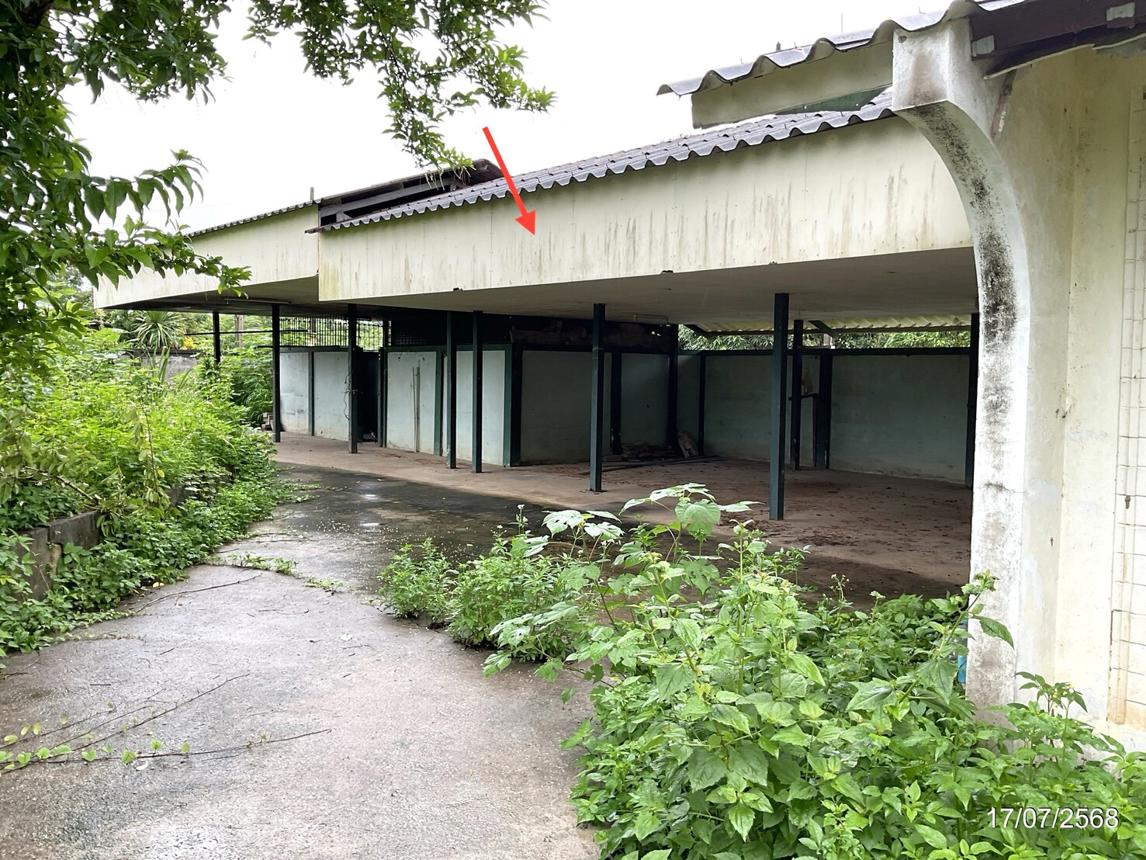 รูป บ้านเดี่ยว สำหรับขาย - ท่าสาย เมืองเชียงราย เชียงราย - รูปที่ 57/64