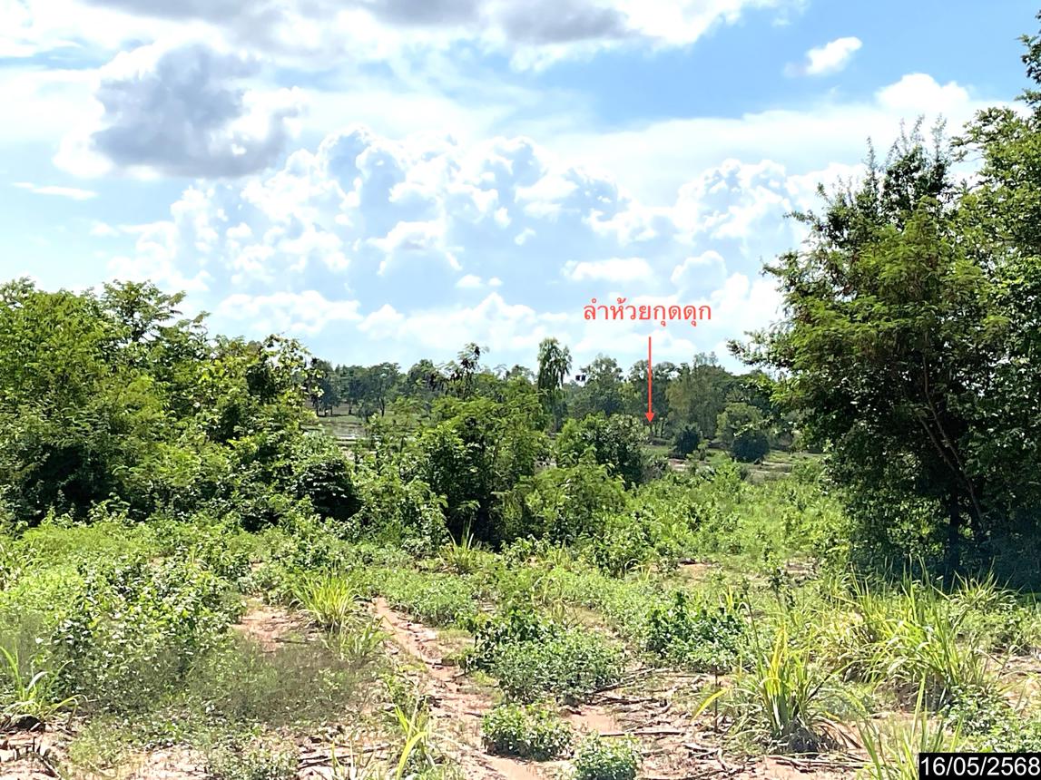 รูป ที่ดินว่างเปล่า สำหรับขาย - โพนสูง ไชยวาน อุดรธานี - รูปที่ 12/16