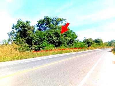 Land for sale Nong Han Udon Thani : LAND for sale  Nong Mek Nong Han Udon Thani