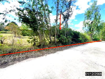 LAND 2967 Sq.w. Pathum Ratwongsa Amnat Charoen for 1.9M